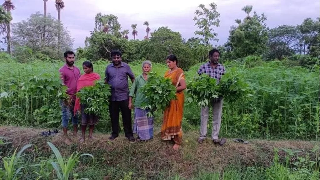 smallholder farmers in Andhra Pradesh India